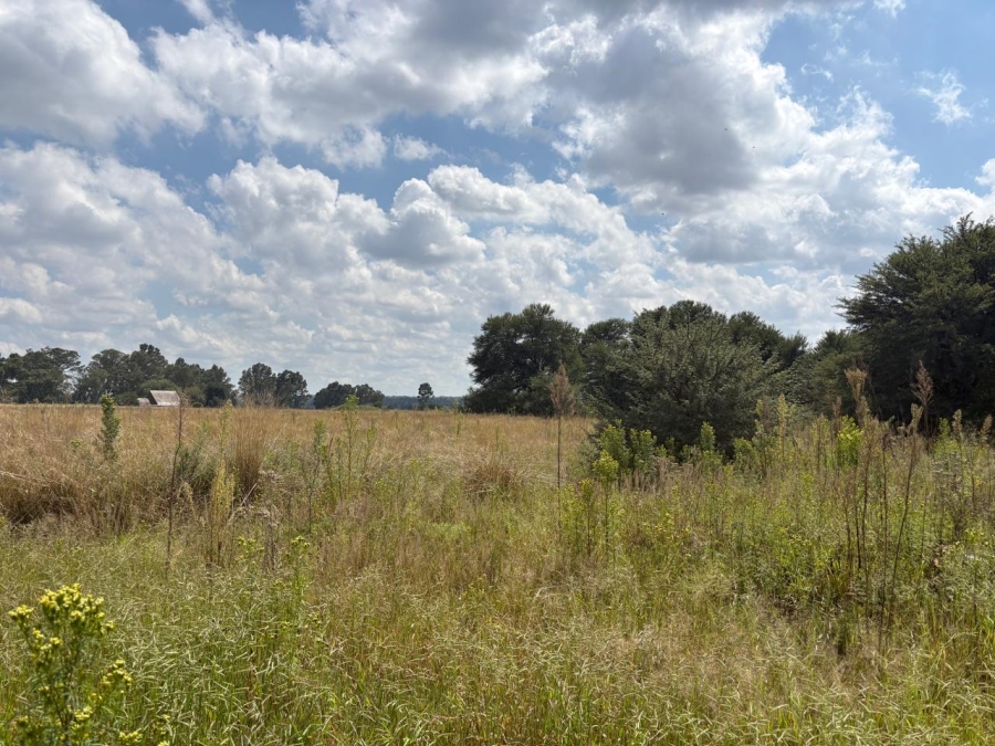 0 Bedroom Property for Sale in Vaalpark Free State